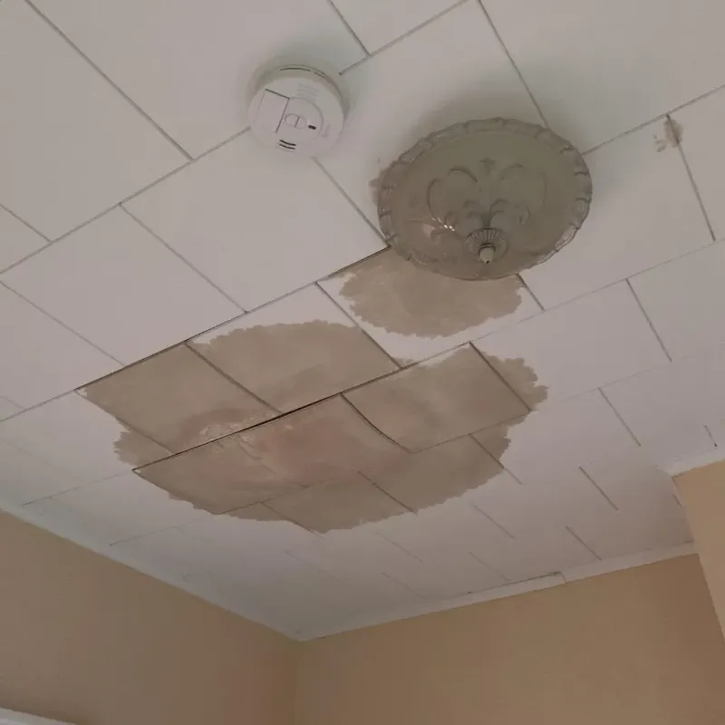 Ceiling Water Damage Repair in Clarksville, AR