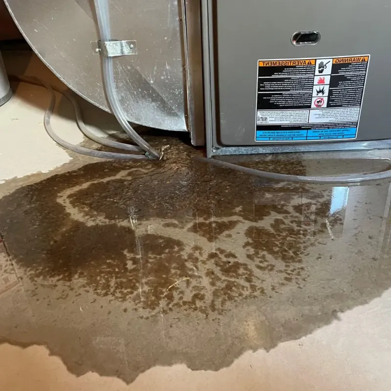 Pipe Burst and Leak Restoration in Clarksville, AR